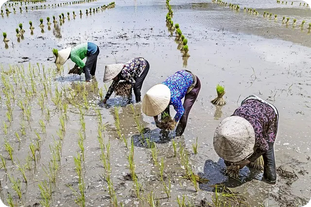 연산동 임플란트 잘하는곳이 여기있다