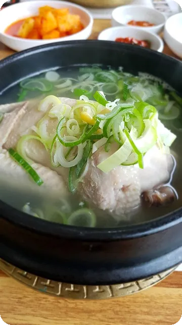 삼계탕 효능 여름 보양식의 이유는 무엇인가