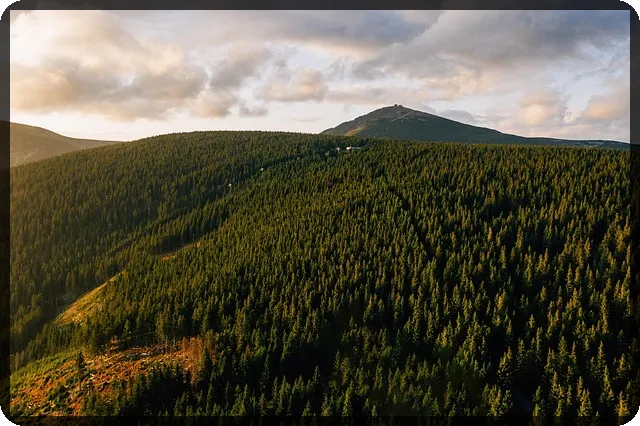 갤럭시 버즈3 FE 출시, 기대되는 기능은 무엇일까