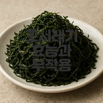 꼬시레기 효능 혹은 부작용 무엇일까