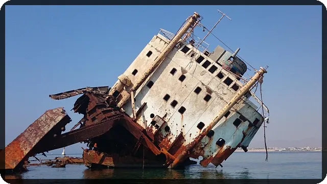 폭군의 셰프 등장인물 줄거리 완벽 정리