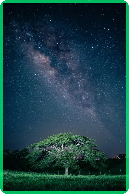 2025 경복궁 야간개장 일정과 예매 꿀팁