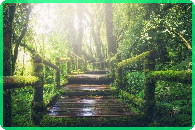 2차 민생지원금 신청 자격 총정리와 지급일