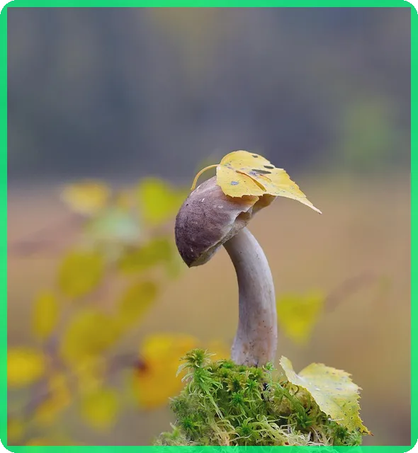 2차 민생지원금 신청 자격 총정리와 지급일