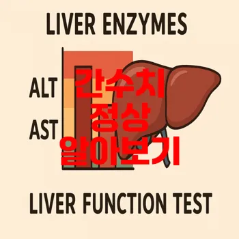 간수치 정상범위 확인 방법은?
