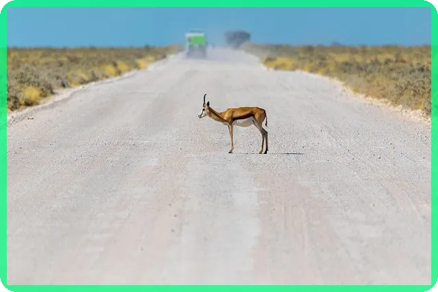 몸에 기운이 없을때 대처법, 무기력증 원인은?