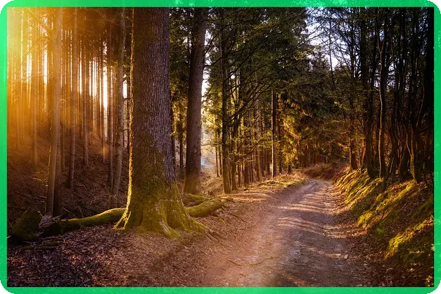 몸이 으슬으슬할때 쌍화차로 따뜻하게