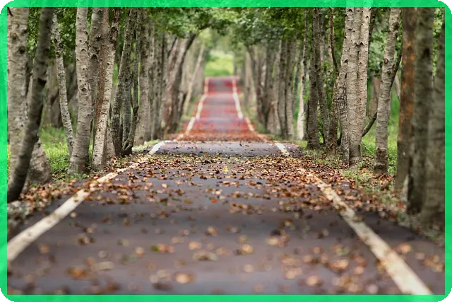 상생페이백 신청 640만명, 환급받는 방법은?