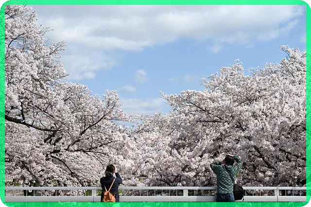 아이폰 17 카메라 설정 꿀팁으로 완벽하게