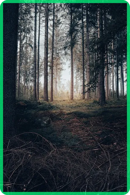 아이폰 17 카메라 설정 꿀팁으로 완벽하게