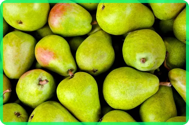 아이폰 17 카메라 설정 꿀팁으로 완벽하게