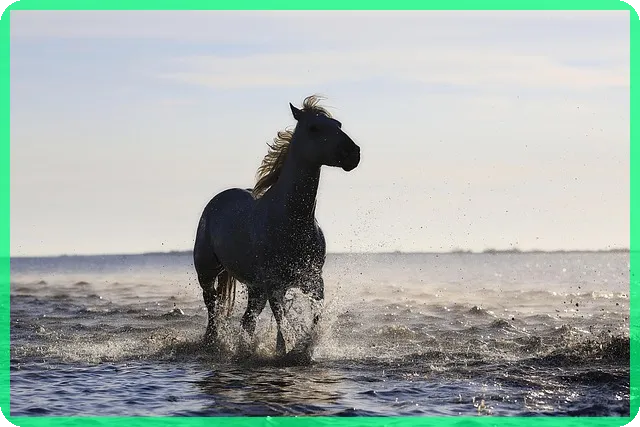 2025년 기초연금 수급자격 어떻게 될까